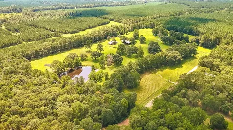 1080 Andrew Jackson Drive Livingston TX 77351