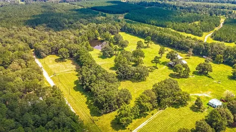 1080 Andrew Jackson Drive Livingston TX 77351