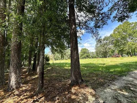 1080 Andrew Jackson Drive Livingston TX 77351