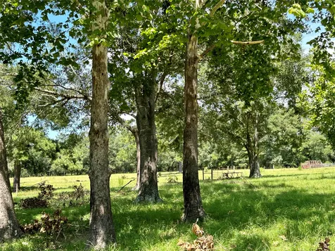 1080 Andrew Jackson Drive Livingston TX 77351