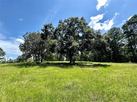 1080 Andrew Jackson Drive Livingston TX 77351