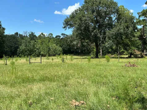 1080 Andrew Jackson Drive Livingston TX 77351