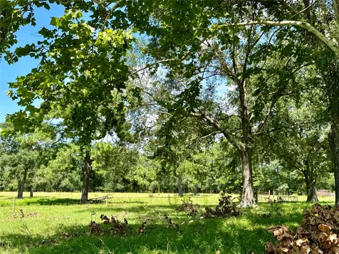 1080 Andrew Jackson Drive Livingston TX 77351