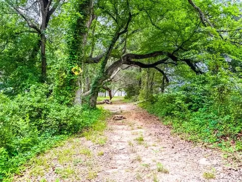 Tbd County Road 891 Jewett TX 75846