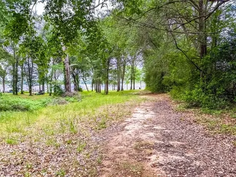Tbd County Road 891 Jewett TX 75846