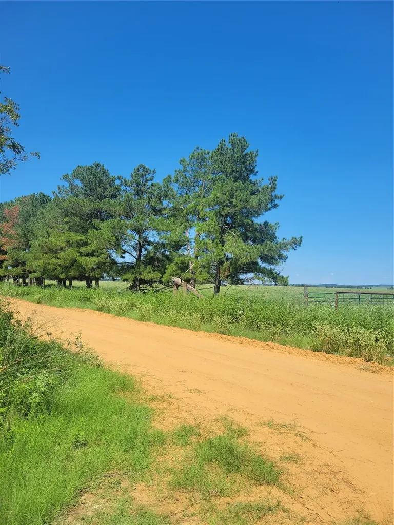 #2 Navarro Lane Grapeland TX 75855
