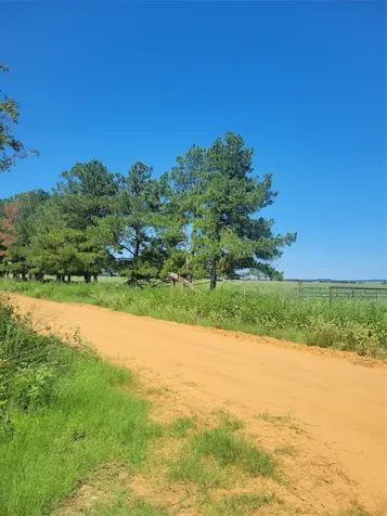 #2 Navarro Lane Grapeland TX 75855