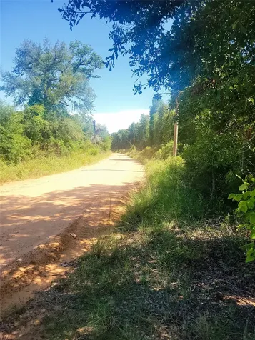 #2 Navarro Lane Grapeland TX 75855