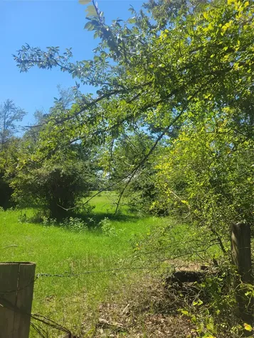 #2 Navarro Lane Grapeland TX 75855