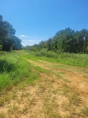 #2 Navarro Lane Grapeland TX 75855