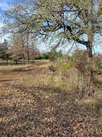 #2 Navarro Lane Grapeland TX 75855