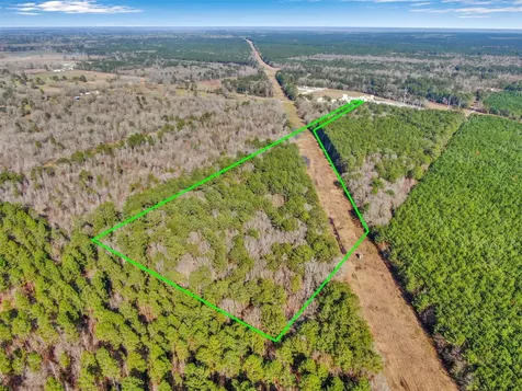 0 Pelican Road Shepherd TX 77371