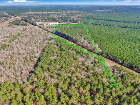 0 Pelican Road Shepherd TX 77371