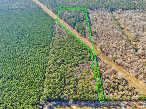 0 Pelican Road Shepherd TX 77371