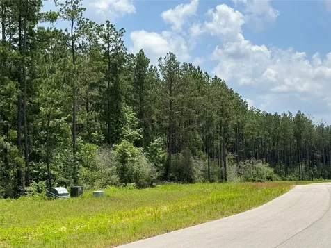 15780 Wooded Trail Way Willis TX 77378