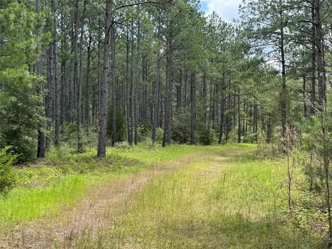 15780 Wooded Trail Way Willis TX 77378