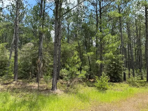 15780 Wooded Trail Way Willis TX 77378