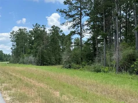 15780 Wooded Trail Way Willis TX 77378