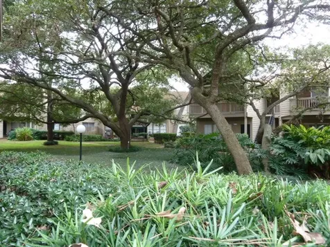 2100 Tanglewilde Street 529 Houston TX 77063