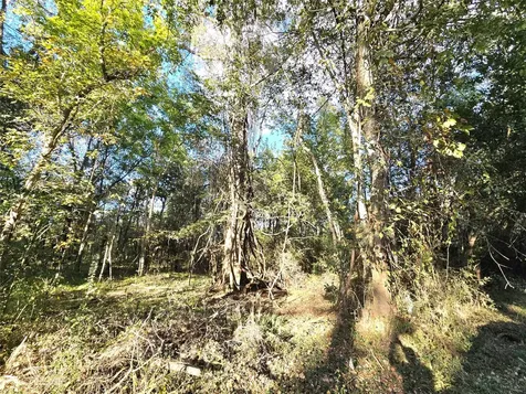 Tbd County Road 2167 Cleveland TX 77327