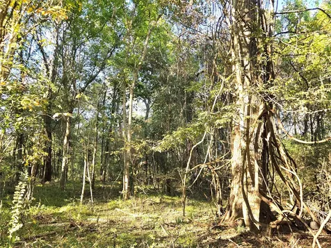 Tbd County Road 2167 Cleveland TX 77327