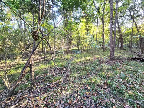 Tbd County Road 2167 Cleveland TX 77327