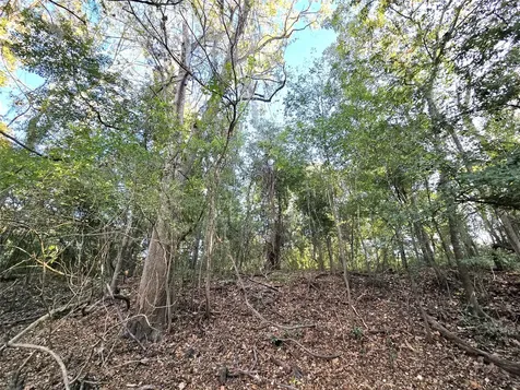 Tbd County Road 2167 Cleveland TX 77327