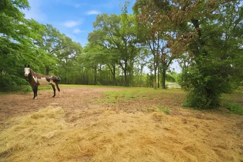 6161 Woodland Lakes Loop Willis TX 77378