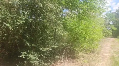 Lot 5 Tupelo Lane Plantersville TX 77363