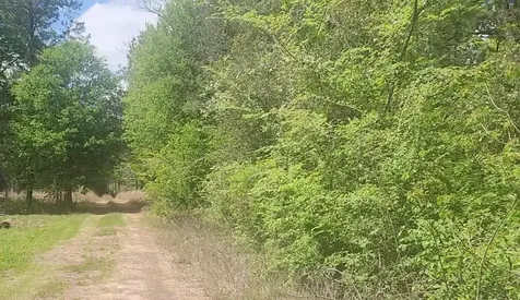 Lot 5 Tupelo Lane Plantersville TX 77363