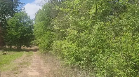 Lot 5 Tupelo Lane Plantersville TX 77363