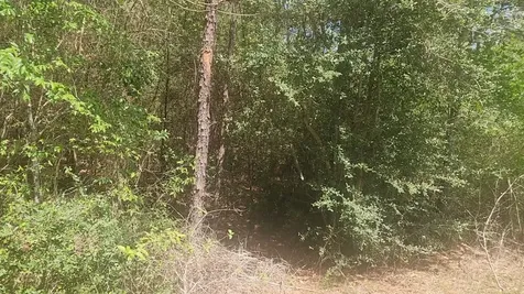 Lot 5 Tupelo Lane Plantersville TX 77363