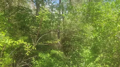 Lot 5 Tupelo Lane Plantersville TX 77363