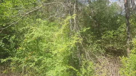 Lot 5 Tupelo Lane Plantersville TX 77363