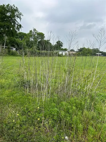 0 Bammel N Houston Road Houston TX 77066