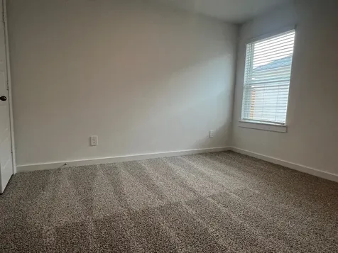 1107 Fringed Bluestar Drive Rosharon TX 77583