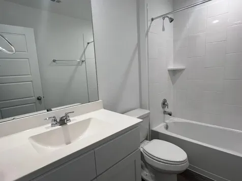 1107 Fringed Bluestar Drive Rosharon TX 77583