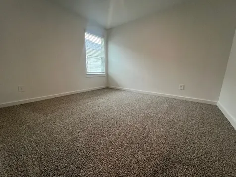 1107 Fringed Bluestar Drive Rosharon TX 77583
