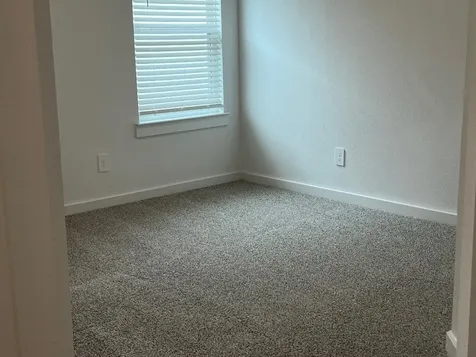 1107 Fringed Bluestar Drive Rosharon TX 77583