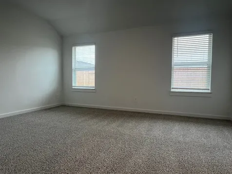 1107 Fringed Bluestar Drive Rosharon TX 77583