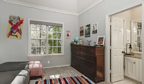 22 W Bracebridge Circle The Woodlands TX 77382
