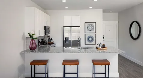 2425 Bell Street 1143 Houston TX 77003