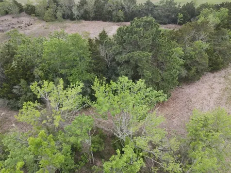 0000 County Road 293 East Bernard TX 77435