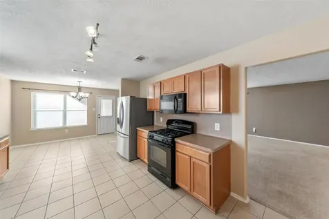 17211 Osprey Landing Drive Hockley TX 77447
