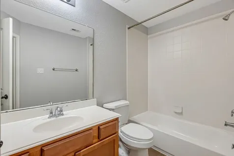 146 Black Swan Place The Woodlands TX 77354