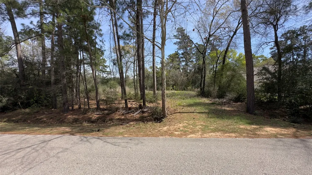 31910 Oaks Crossing Magnolia TX 77355