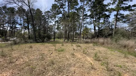 31910 Oaks Crossing Magnolia TX 77355