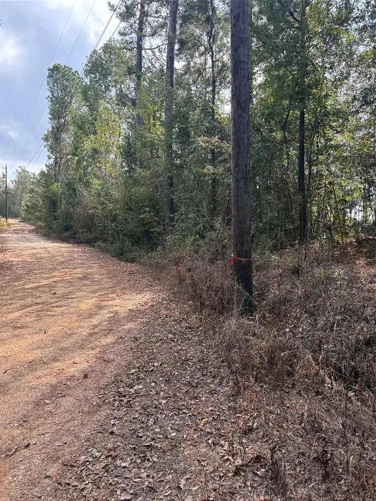 Tbd Glen Nettles Road Livingston TX 77351