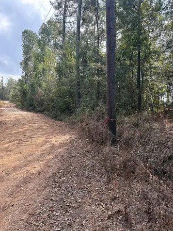 Tbd Glen Nettles Road Livingston TX 77351