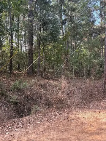 Tbd Glen Nettles Road Livingston TX 77351